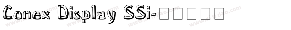 Conex Display SSi字体转换